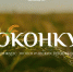 Стань автором экологического герба своего города или региона - Коркинский муниципальный округ